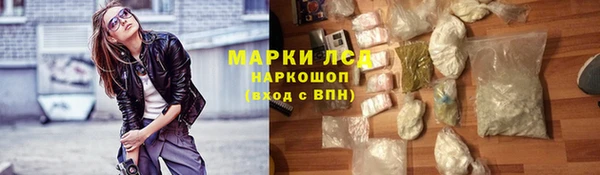 стаф Сатка