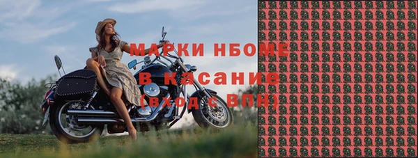 PSILOCYBIN Киренск